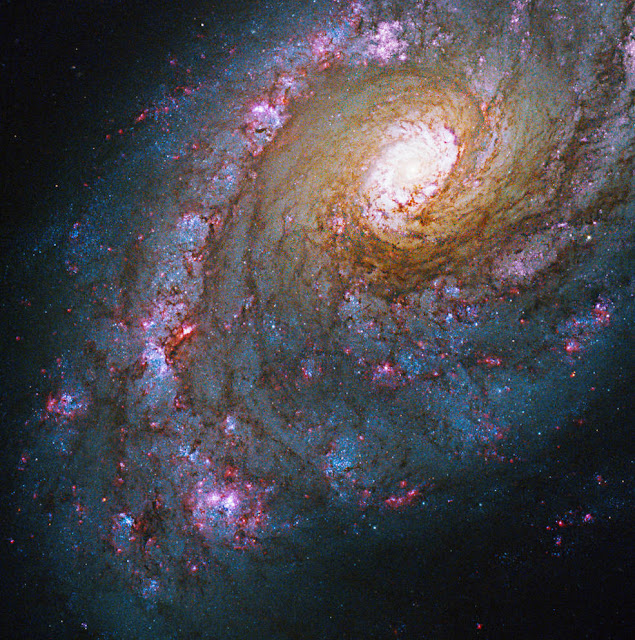caldwell-45-galaksi-spiral-di-rasi-boötes-informasi-astronomi