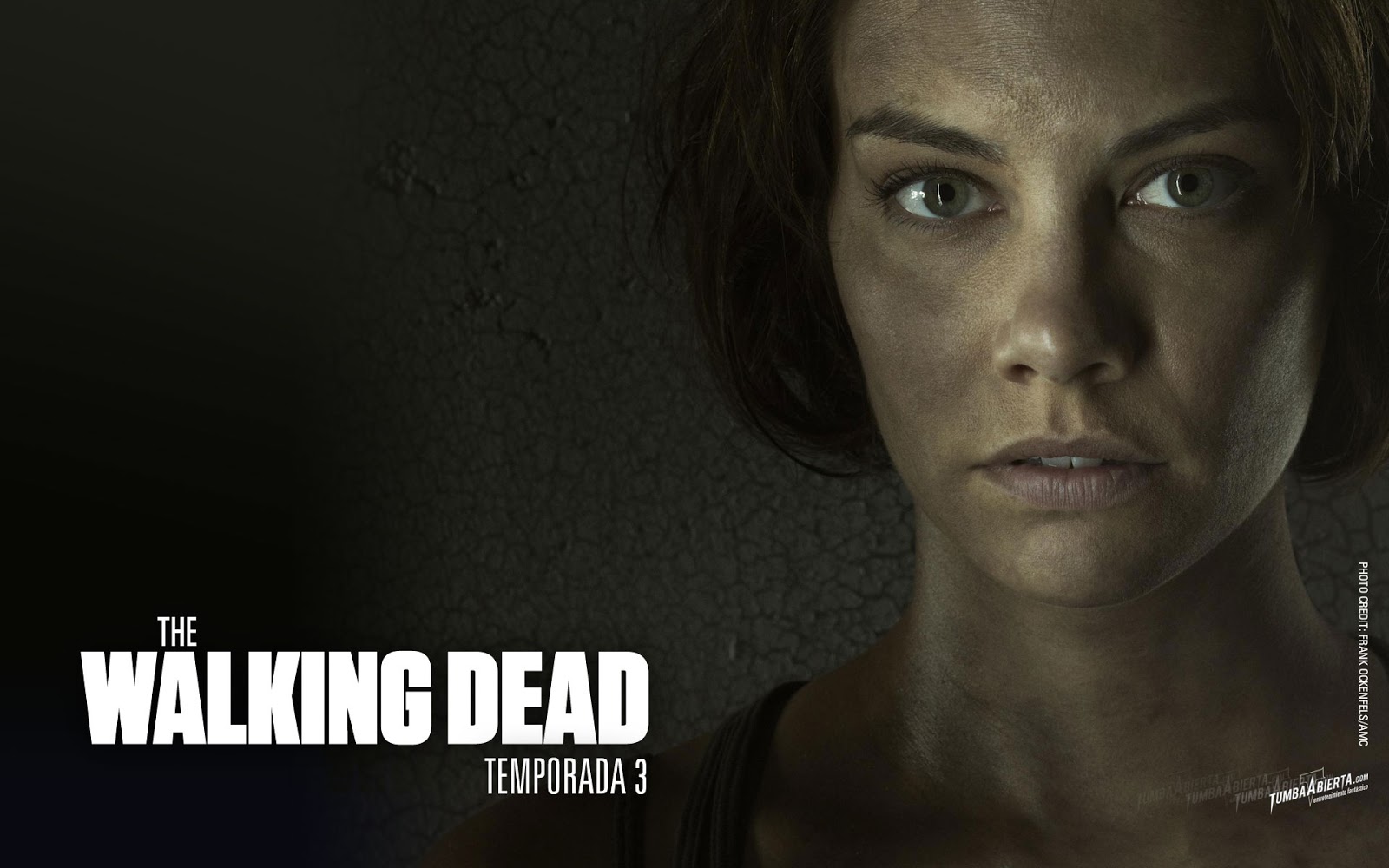 the_walking_dead_wallpaper_5-normal.jpg