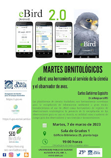 eBird, una herramienta al servicio de la ciencia y el observador de aves (Carlos Guiérrez Expósito)