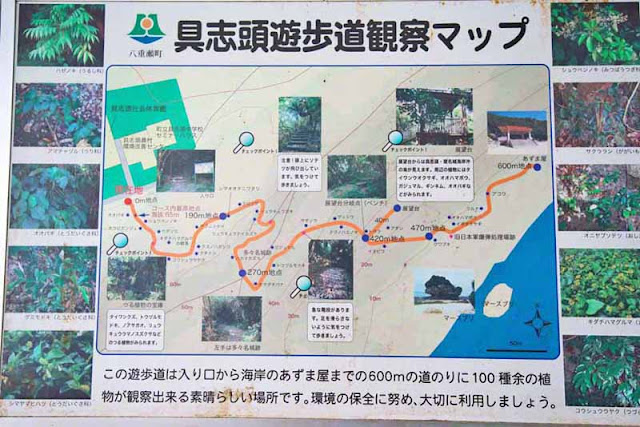 Japanese, map, sign, Horohoro Forest, park, trail, Okinawa