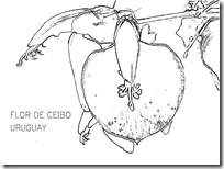 CEIBO 1
