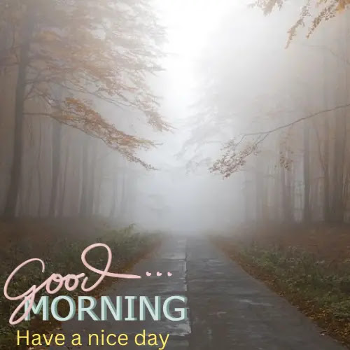 Foggy good morning images