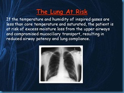 Slide11
