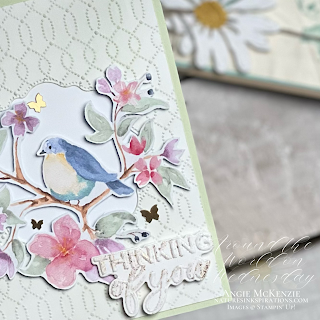 Stampin' Up! Flight & Airy Watercolor World cards preview | Nature's INKspirations by Angie McKenzie
