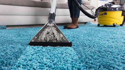 Hiring A Professional Company To Clean Your Carpet