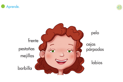 http://primerodecarlos.com/SEGUNDO_PRIMARIA/septiembre/unidad_1/partes_cara.swf