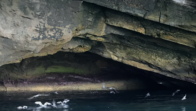 Punta Vicente Roca, Isla Isabela, Islas Galápagos