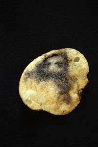 Potato Chip Looks Like Jesus