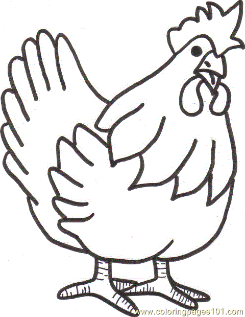 Kumpulan Gambar Mewarnai Hewan Ayam Yang Mudah Terbaru