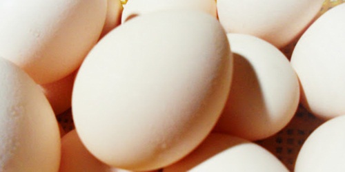 putih telur untuk mengatasi rambut uban