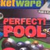 Perfect Pool 3D PC Game Free Download