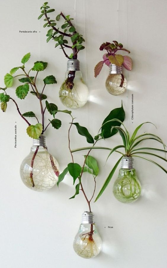 Easy crafts to use as a modern plant pot