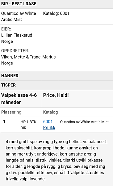 kritikk