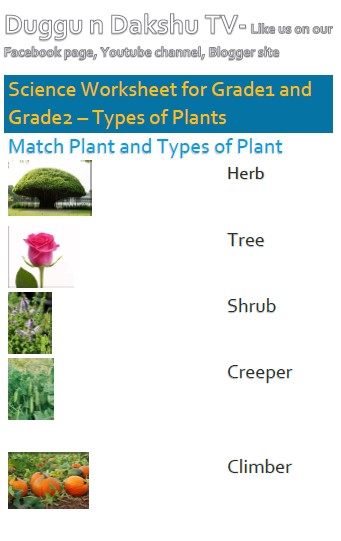 good living guide type of plants science worksheet for class 1 and class 2