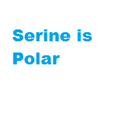 Serine is Polar