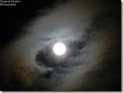 DSCN1379