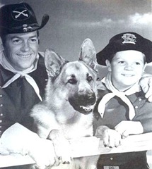 Rin Tin Tin