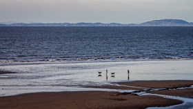 Photo of dog walkers on the beach at Maryport at low tide