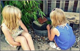 make a mini pond RSPB #homesforwildlife