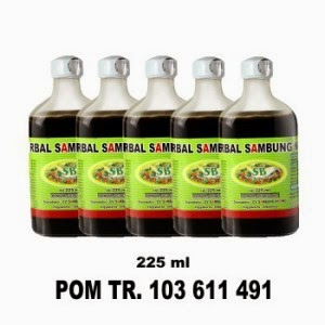 Jual Madu Herbal Sambung Nyowo SB 225ml Murah