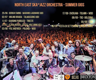 brixton_records_north_east_ska_jazz_orchestra