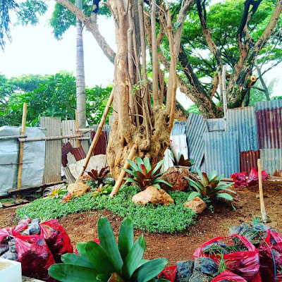 Tukang taman Sidoarjo https://salwaalamart.blogspot.com/2017/06/tukang-taman-sidoarjojasa-pembuatan.html