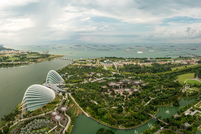 singapur, barvy, budovy, cestování, svět, gardens by the bay