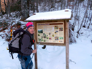 Bosque de Gamueta