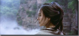 Crouching-Tiger-Hidden-Dragon-2558