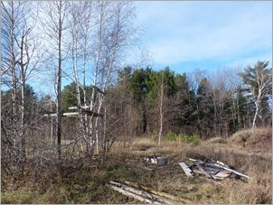 P1090446