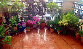 Prep Outdoor Space For Monsoon