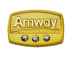 Sales Director Amway