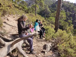 3 hikers take a break, sitting on a trunk of a fallen tree