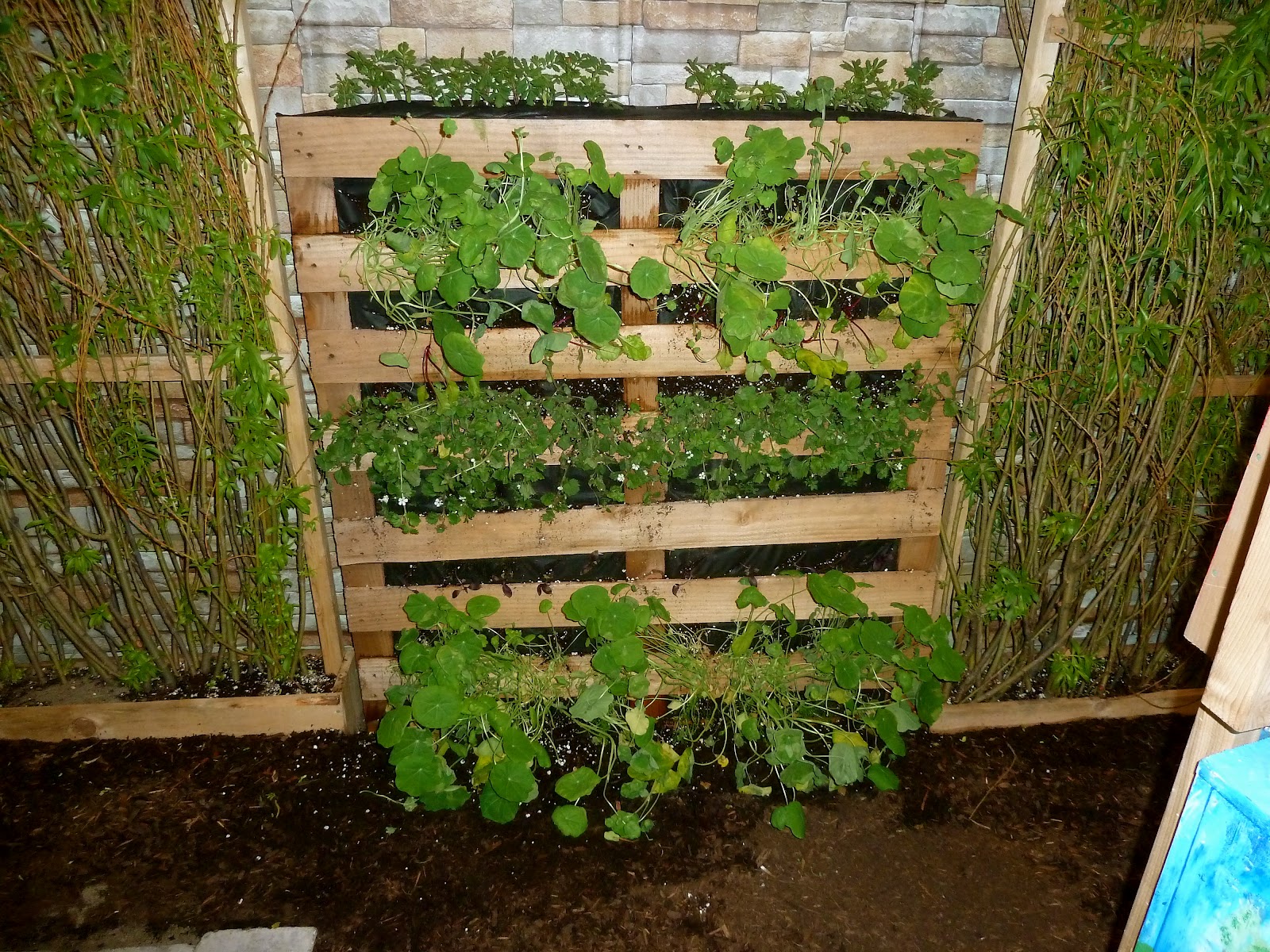 Vegetable Garden Planter Box Ideas