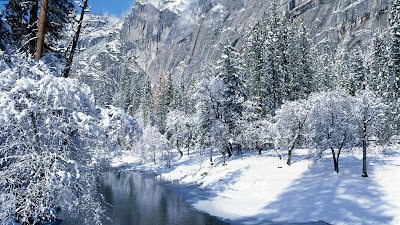 Winter Desktop Wallpaper Two Trees Road Snow