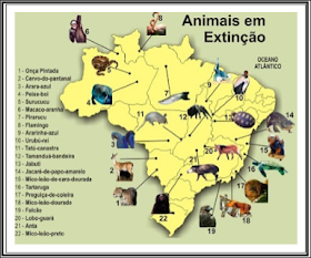 ANIMAIS-EM-EXTINÇÃO-NO-BRASIL 