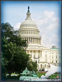 Capitolio de los Estados Unidos en el National Mall de Washington D.C. 