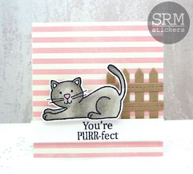 SRM Stickers Blog - PURR-fect Day by Annette - #cards, #cardset #minicards #clearstamps #janesdoodles #acatslife #clearcontainers #giftset