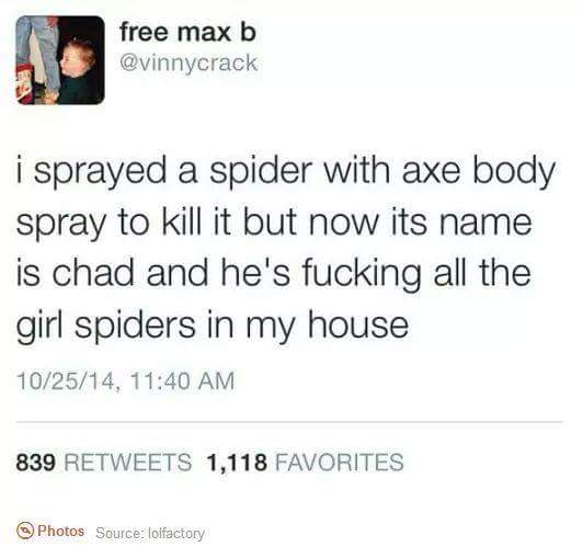 sprayed spider with axe