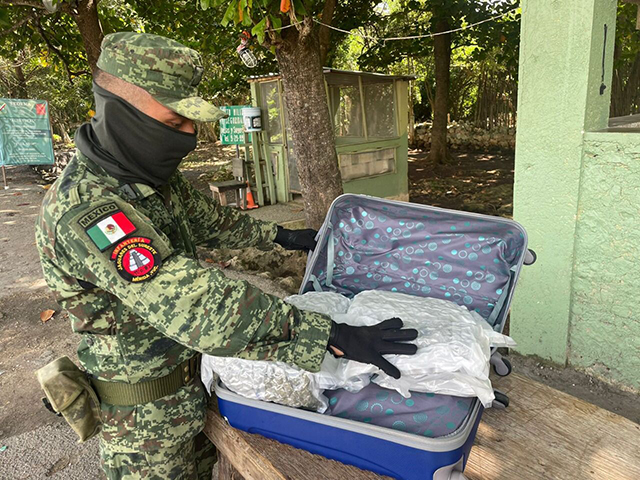 Durante una revisión en un autobús en la localidad de Poxilá los militares encontraron en dos maletas con la droga