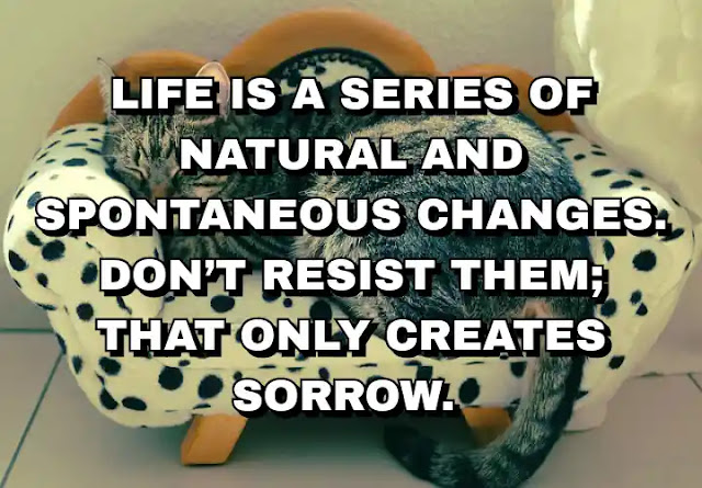 Life is a series of natural and spontaneous changes. Don’t resist them; that only creates sorrow.