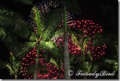 Singapore 2010 143