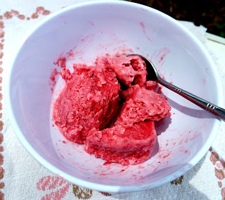 Frozen Yoghurt Süßes Camping Rezepte