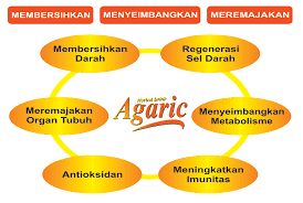 Agaric Herbal Drink