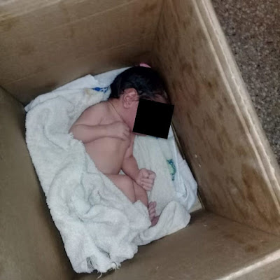 Recém-nascido é encontrado dentro de caixa de papelão em um cemitério
