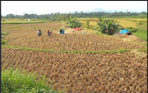 Gambar Coretan Gorongosa Satu Tempat Mampu Mengubah 