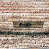 مخطوط "علي بن باي عبدو يونس" حول نسب "بني يلمان"