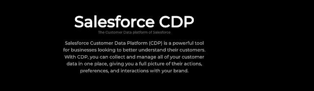 Libere el poder de los datos de los clientes con Marketing Cloud CDP