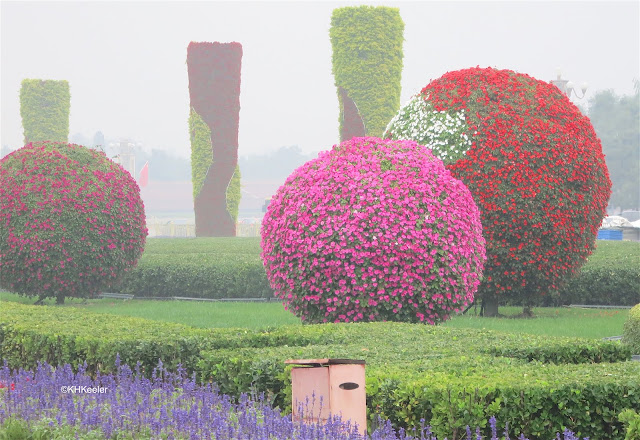 plant art, China