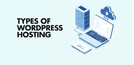 What Varieties Of WordPress Hosting Are There? - A Beginner's Guide (2023)